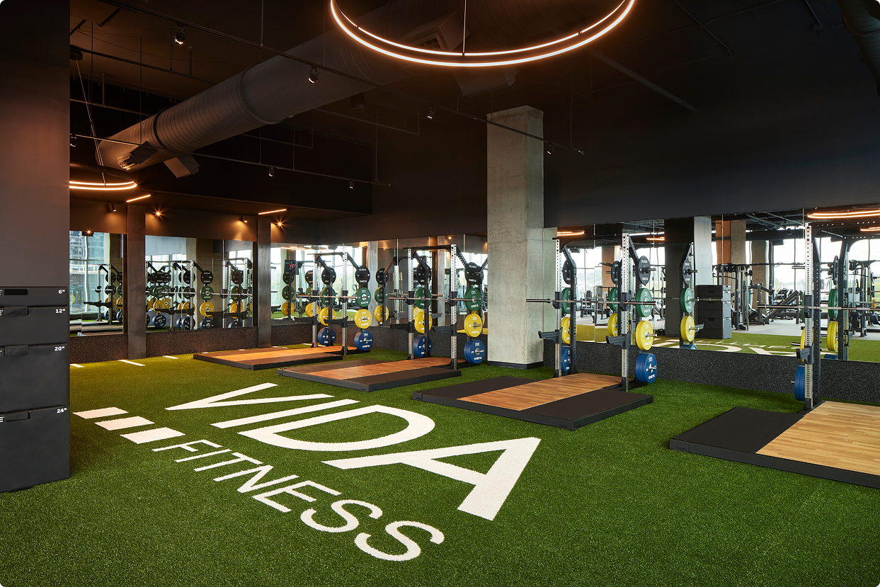 squat racks over turg
